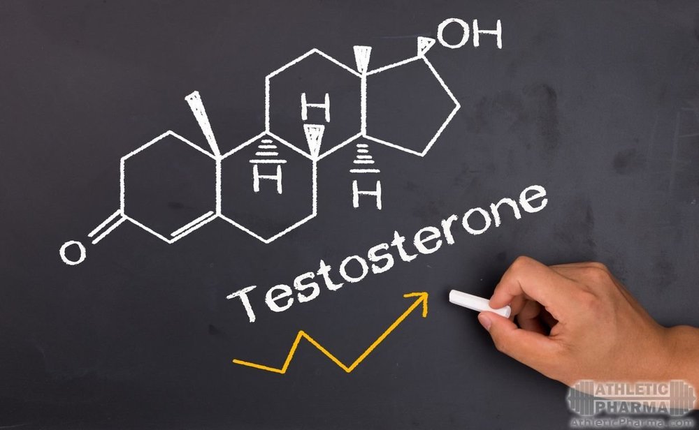 Гормон тестостерон